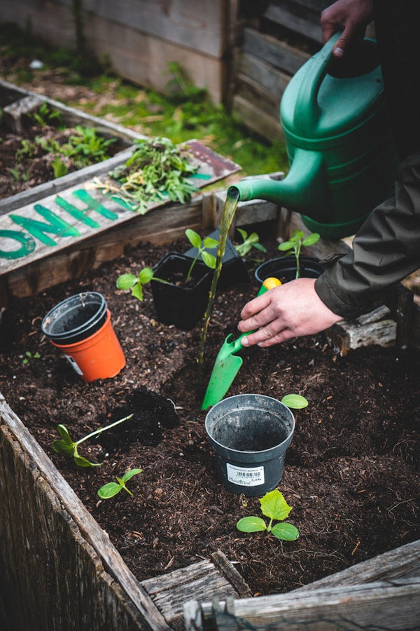 Garden & Tools